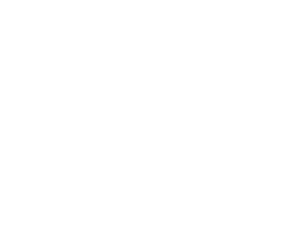 NEWCAPSTONE GROUP