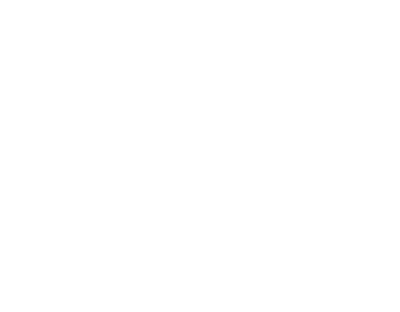 NEWCAPSTONE GROUP